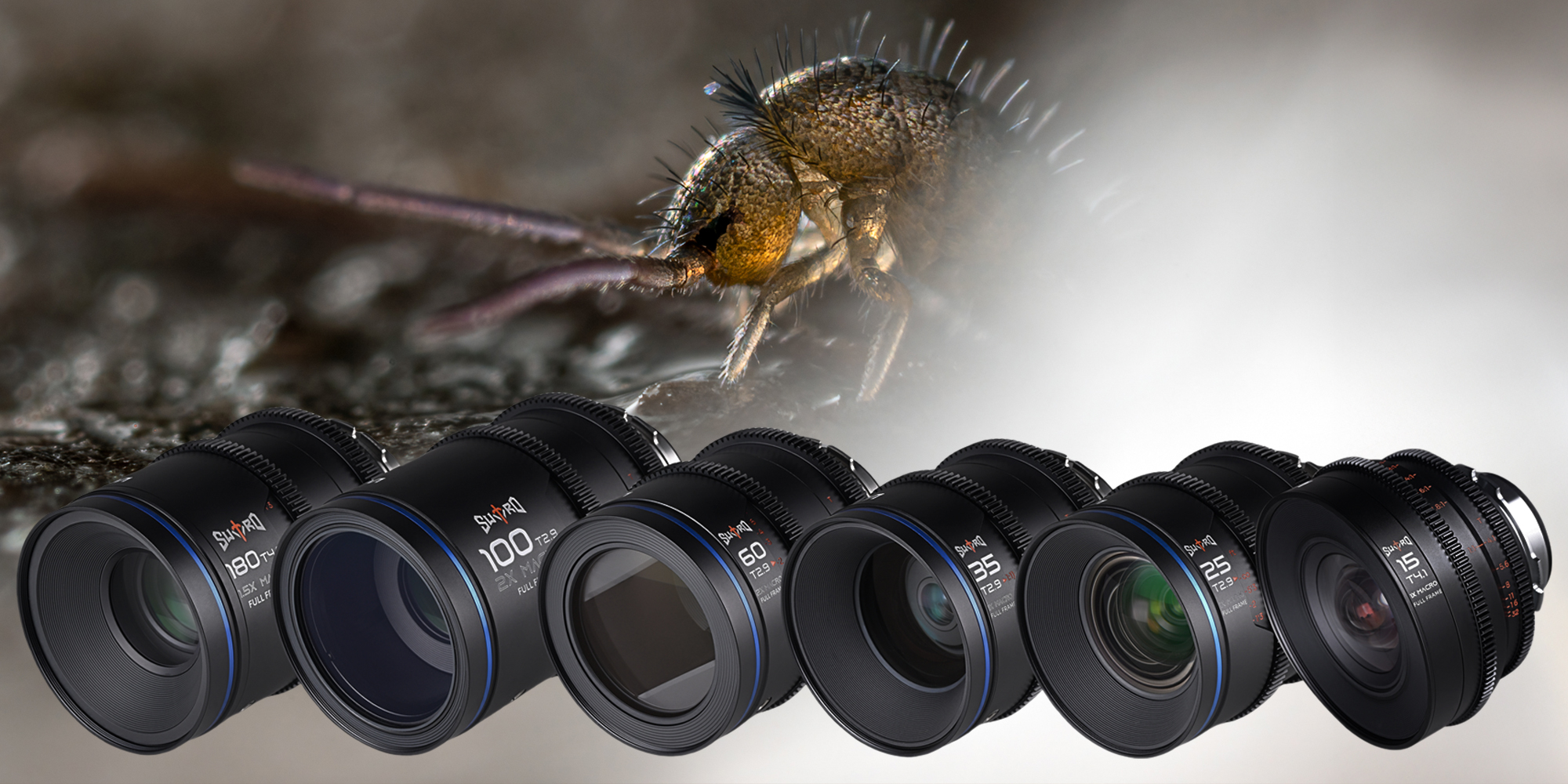 Obiektywy Laowa Sword i zdjęcie owada makro